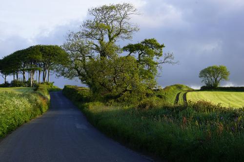 Photo Gallery Image -  Road to du Maurier Country 